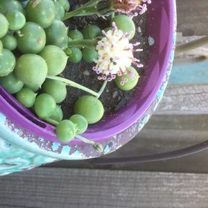 Meet your Posher, June